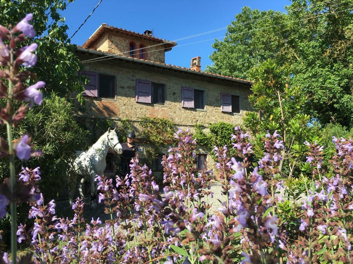 Farmhouse B&B Il Paretaio Barberino di Val dʼElsa Zewnętrze zdjęcie