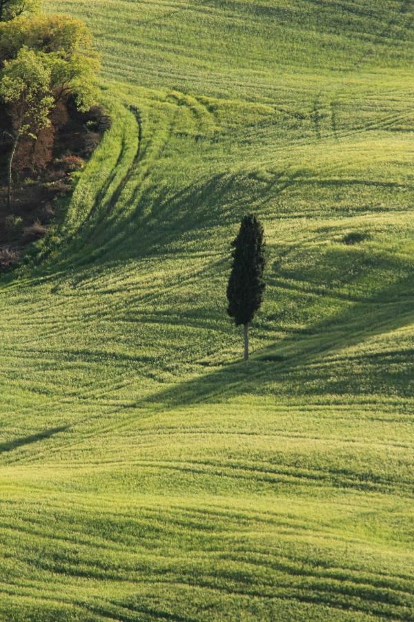 Farmhouse B&B Il Paretaio Barberino di Val dʼElsa Zewnętrze zdjęcie