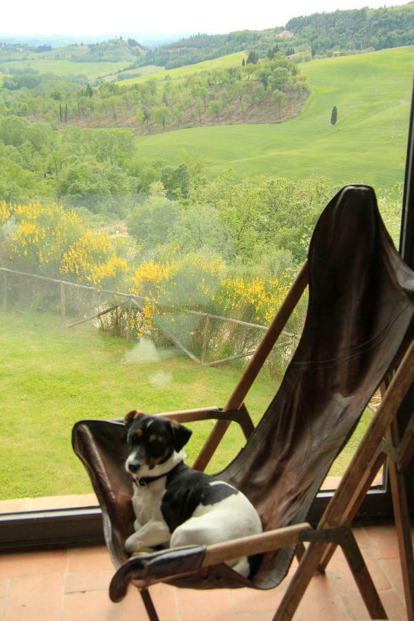 Farmhouse B&B Il Paretaio Barberino di Val dʼElsa Zewnętrze zdjęcie