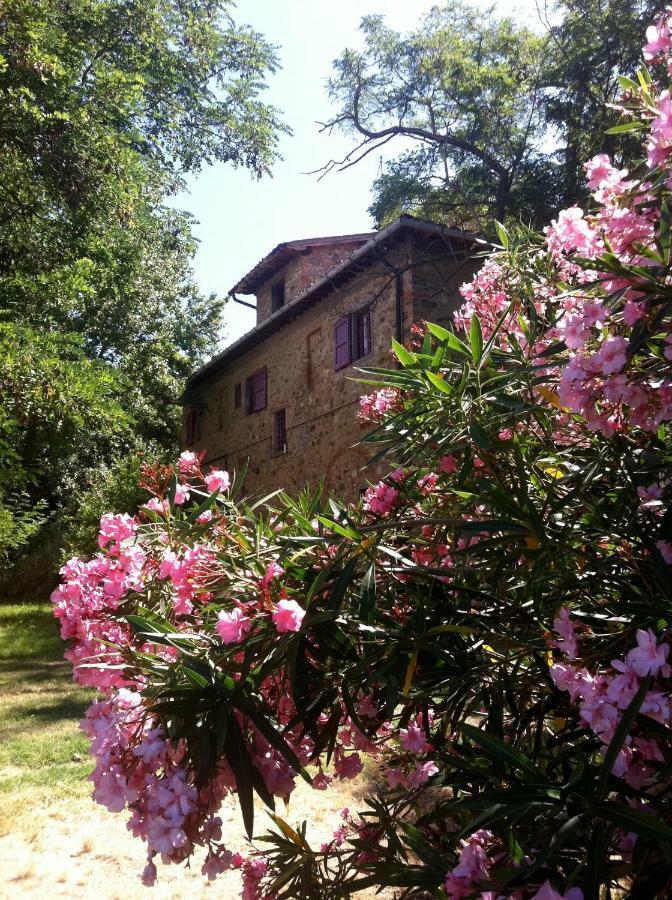 Farmhouse B&B Il Paretaio Barberino di Val dʼElsa Zewnętrze zdjęcie