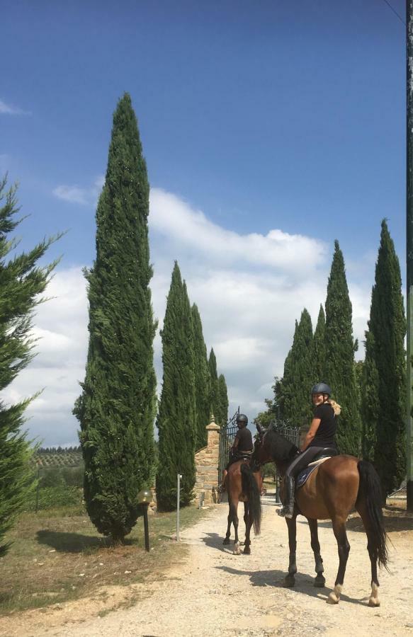 Farmhouse B&B Il Paretaio Barberino di Val dʼElsa Zewnętrze zdjęcie