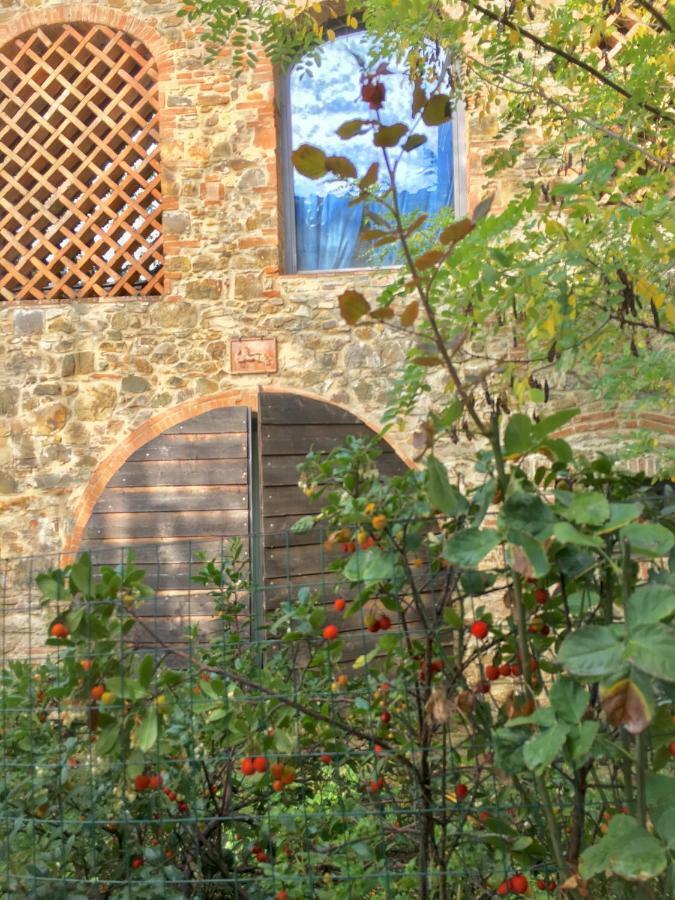 Farmhouse B&B Il Paretaio Barberino di Val dʼElsa Zewnętrze zdjęcie