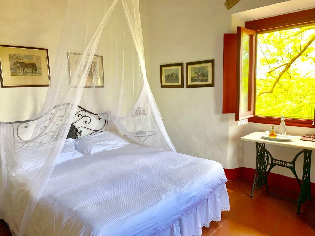 Farmhouse B&B Il Paretaio Barberino di Val dʼElsa Zewnętrze zdjęcie